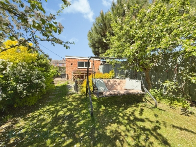 Picture 12